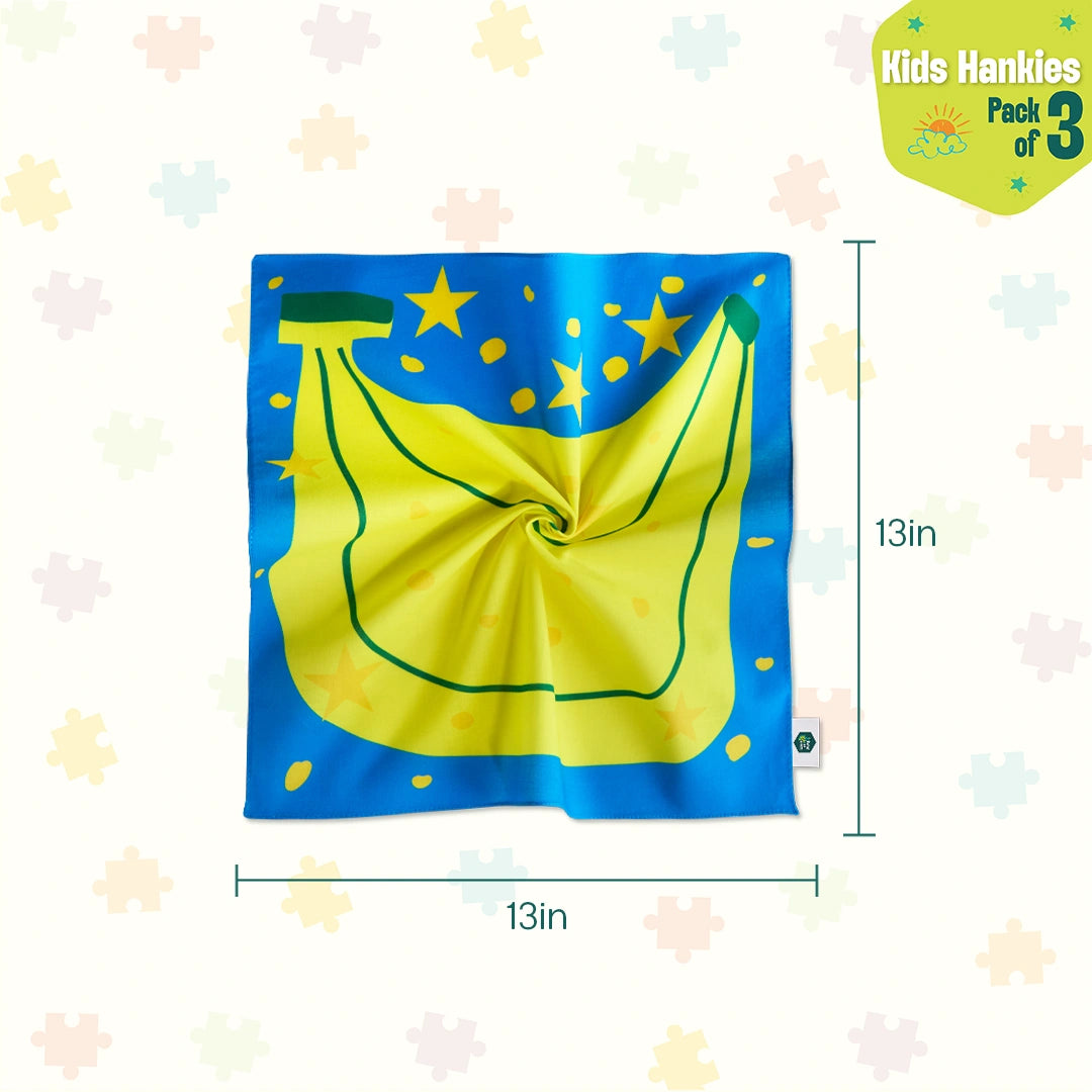 Lunch Box! Unisex Kid's Hankies, 100% Organic Cotton, Pack of 3