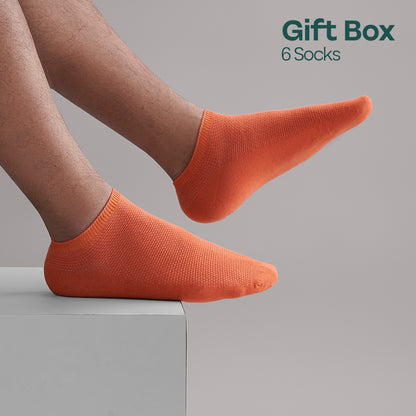 Sparklin' Hot! Tin Gift Box, Unisex Ankle Length, 100% Organic Cotton, Box Of 06