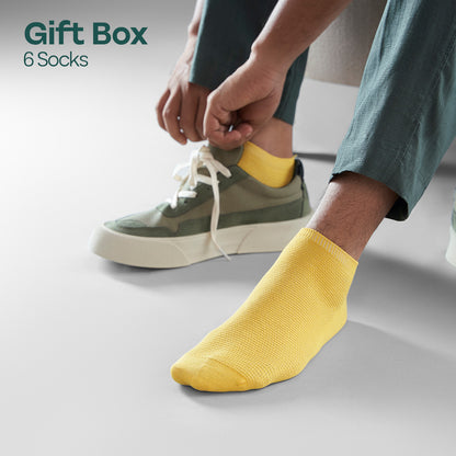 Sparklin' Hot! Tin Gift Box, Unisex Ankle Length, 100% Organic Cotton, Box Of 06