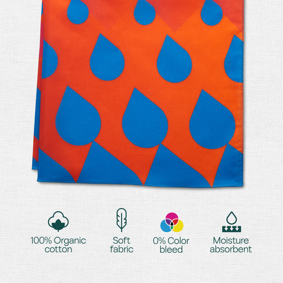 Say Cheese! Unisex Hankies, 100% Organic Cotton, Gift Box of 6