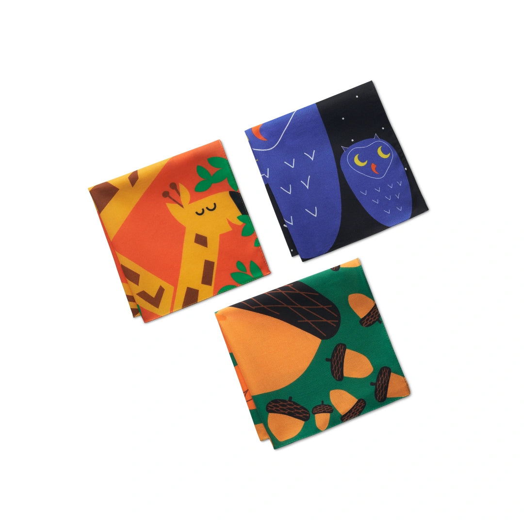 Animals Day Out! Unisex Kid's Hankies, 100% Organic Cotton, Pack of 3
