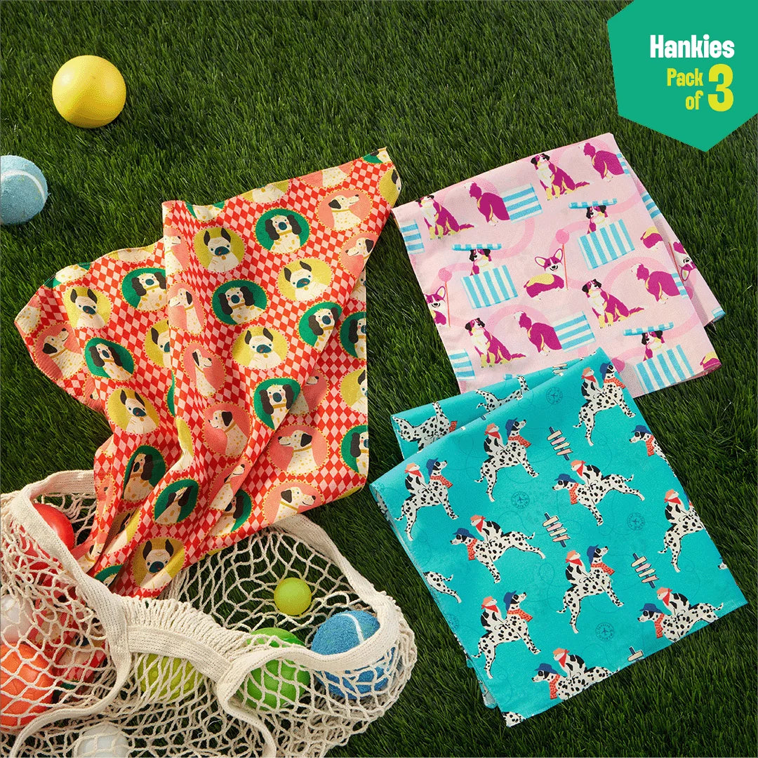 Pawsome! Unisex Hankies, 100% Organic Cotton, Pack of 3