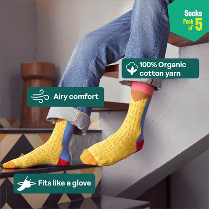 Geometry Class! Unisex Socks, 100% Organic Cotton, Crew Length, Pack of 5