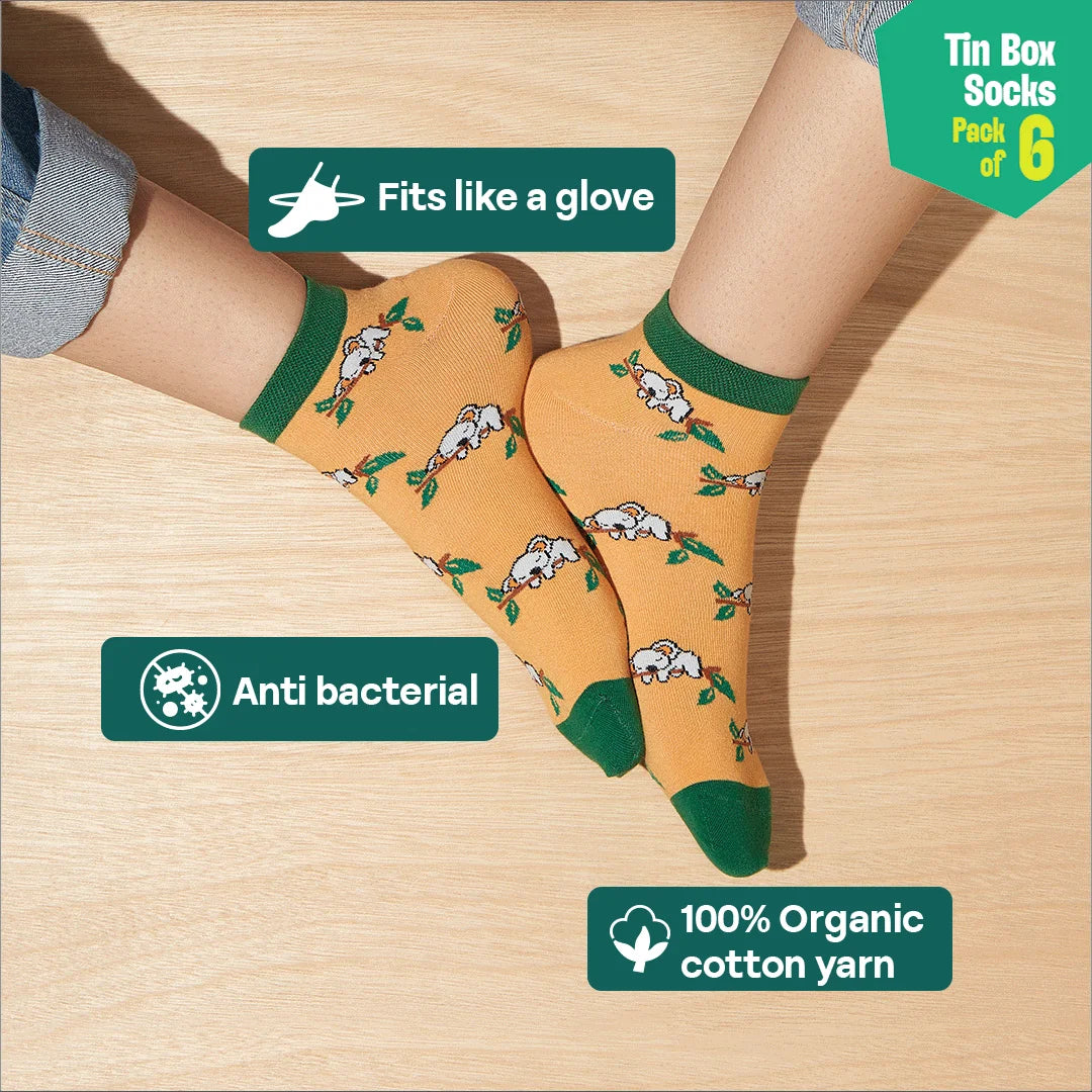 Beat Play! Tin Gift Box, Unisex Ankle Length Socks, 100% Organic Cotton, Gift Box of 6