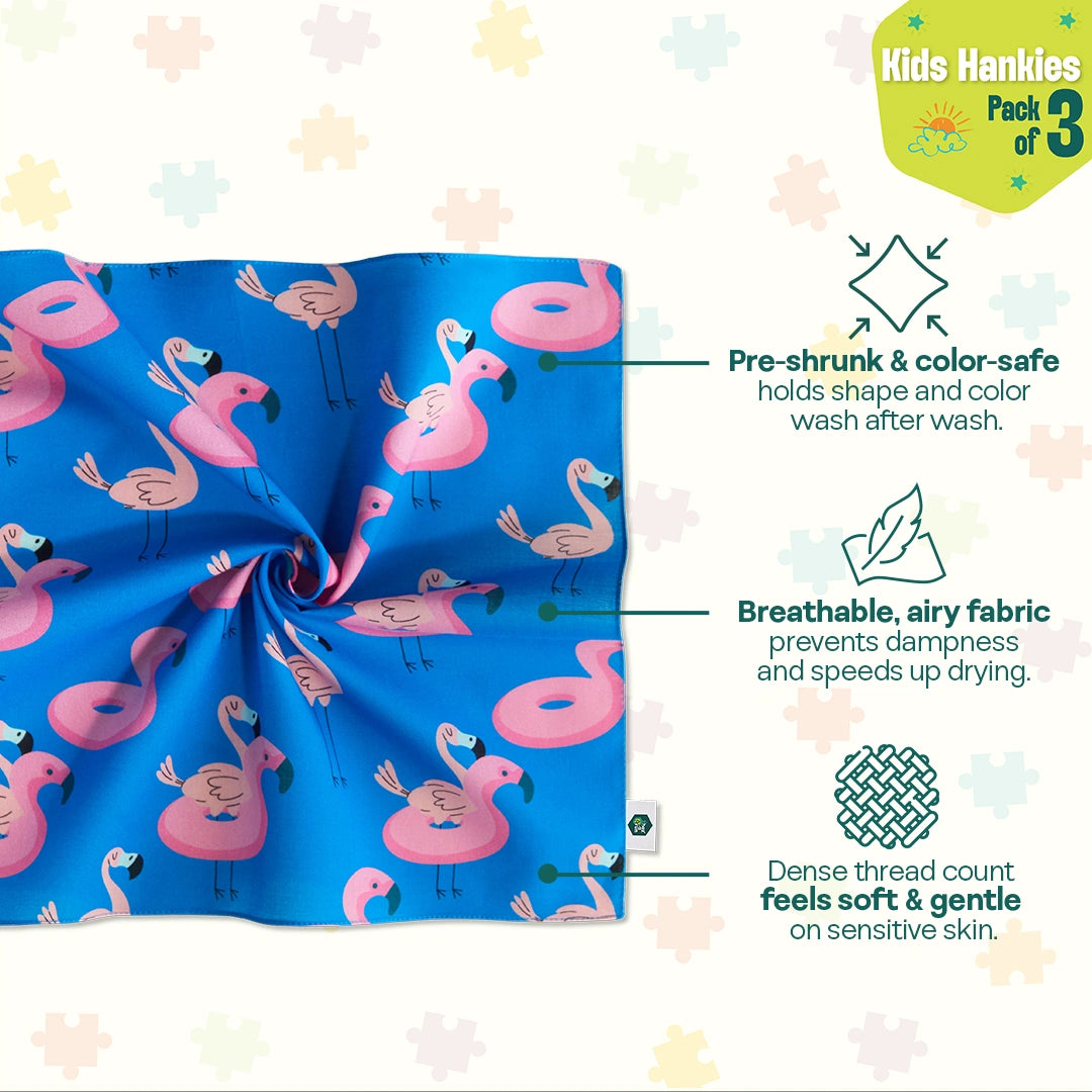 Lil Explores! Unisex Kid's Hankies, 100% Organic Cotton, Pack of 3