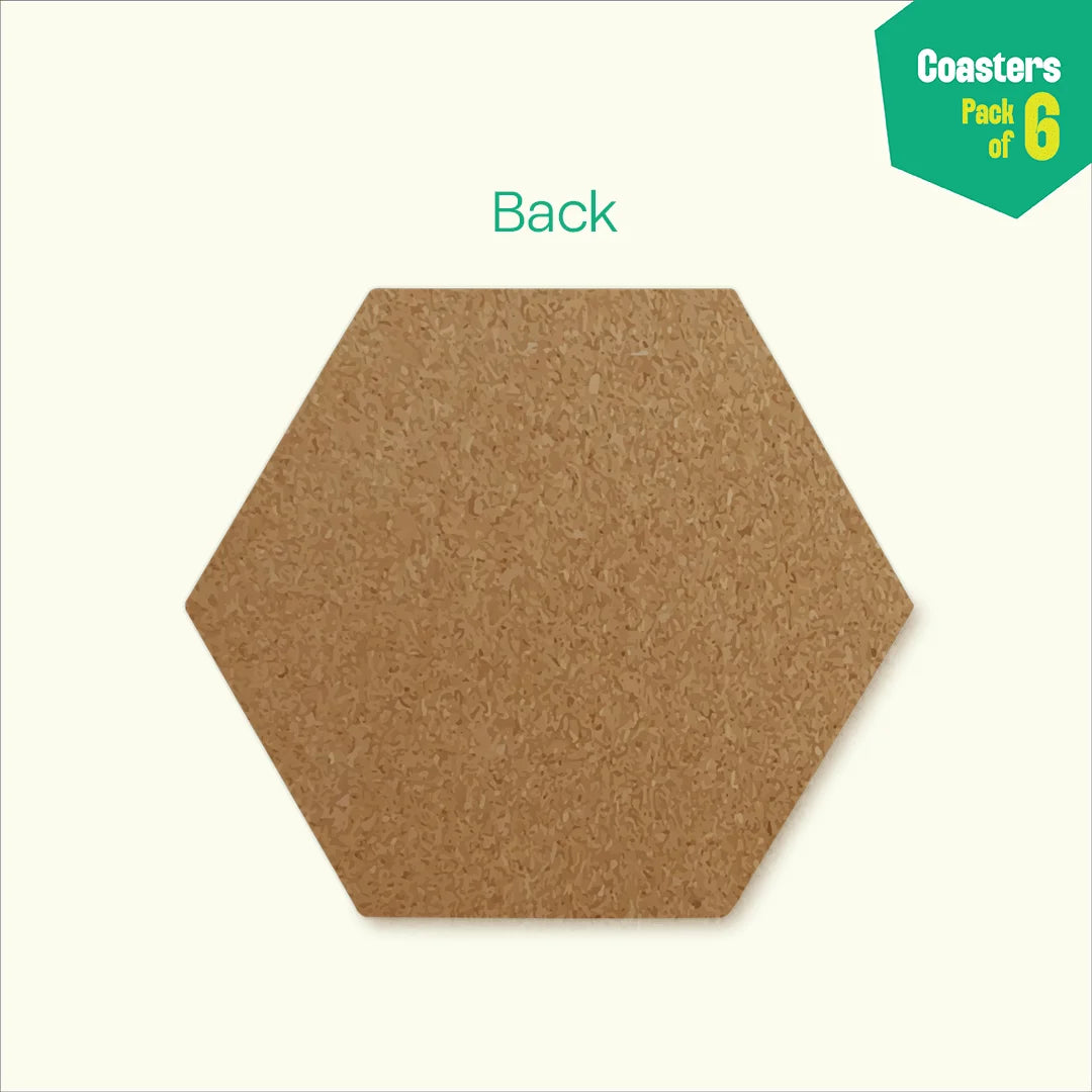 Insanely Indian! Coasters, Pack of 6