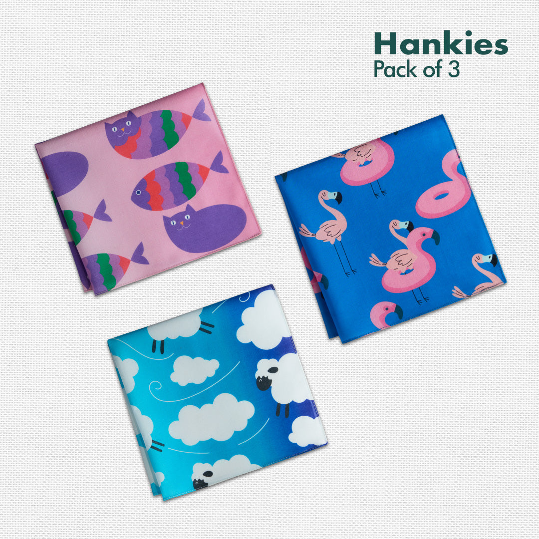 Lil Explores! Unisex Kid's Hankies, 100% Organic Cotton, Pack of 3