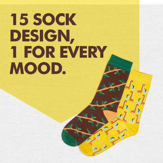 My Sock Drawer! Series 1! Unisex Socks, 100% Organic Cotton, Crew Length, Pack of 15 + Free Tin Box