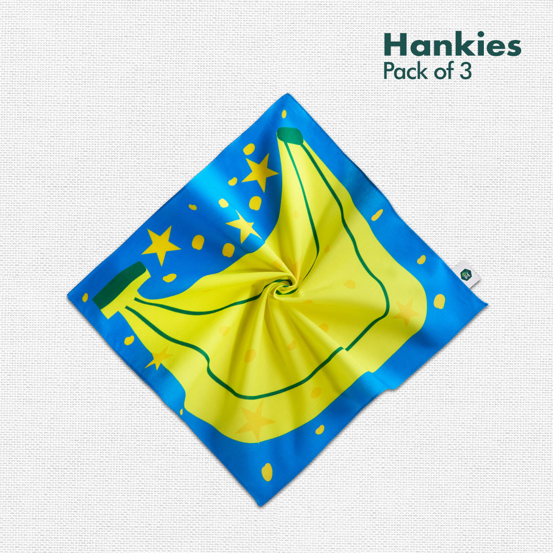 Lunchbox! Unisex Kid's Hankies, 100% Organic Cotton, Pack of 3