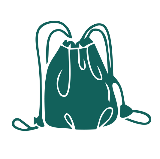 FREE Shoe Bag